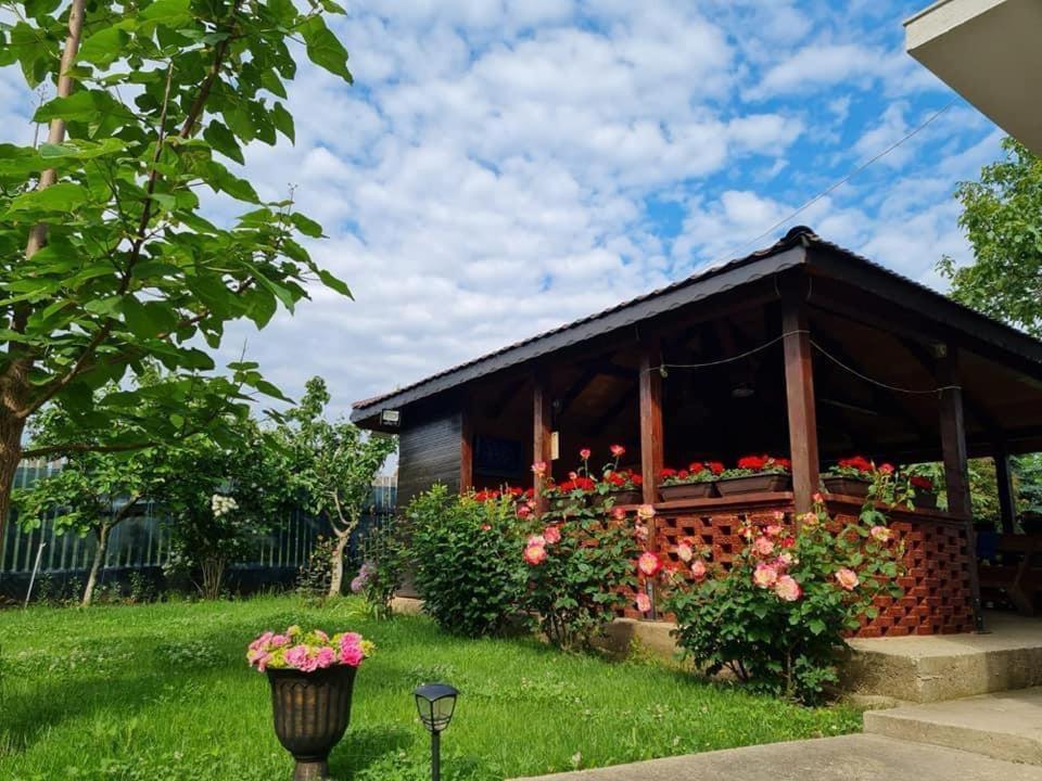 Vila Cataleya Venus Exteriér fotografie