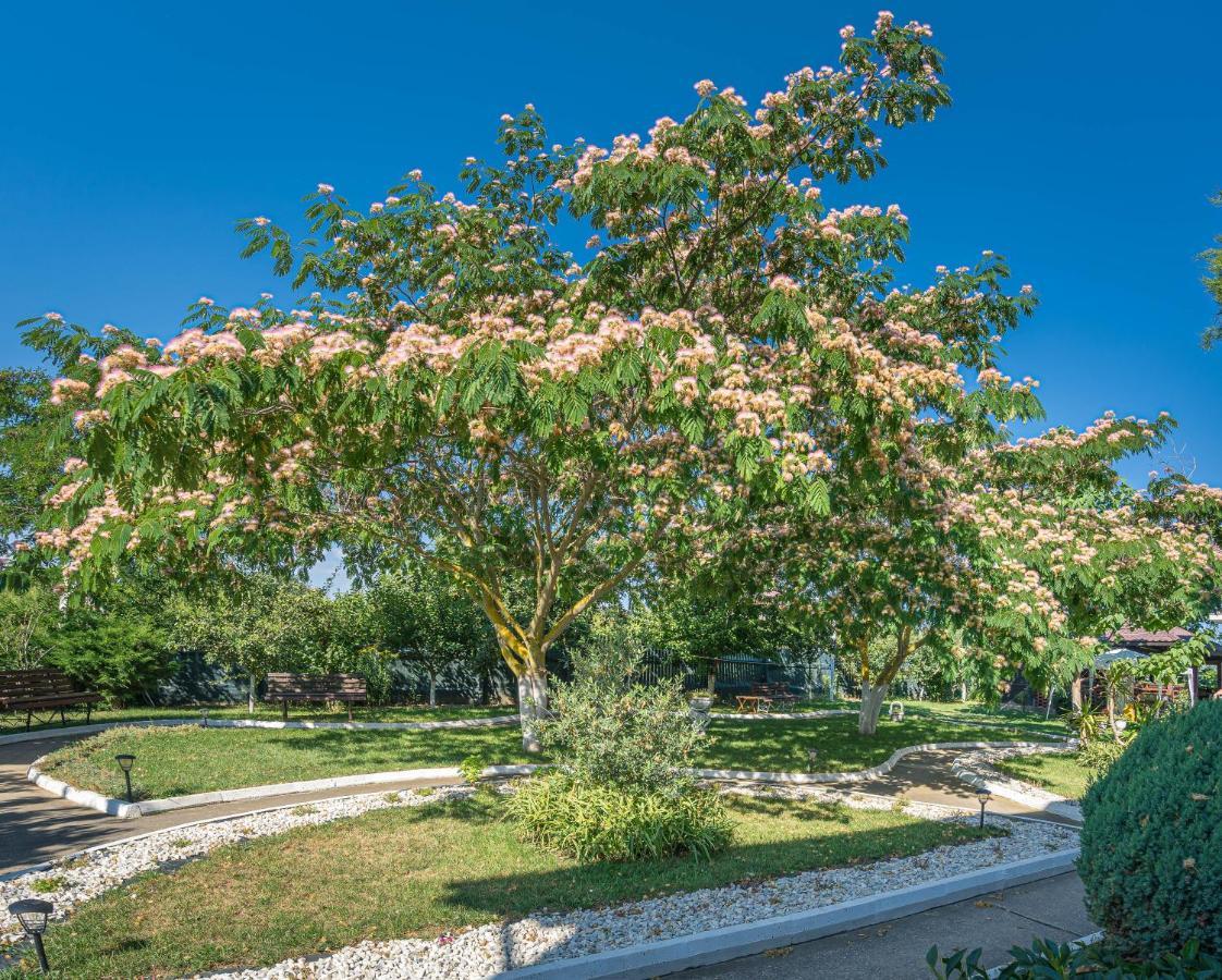 Vila Cataleya Venus Exteriér fotografie